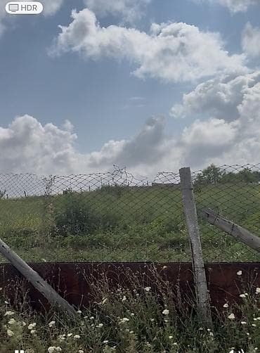 sixovda torpaq satilir: 12 sot, Tikinti, Kupça (Çıxarış) — 5