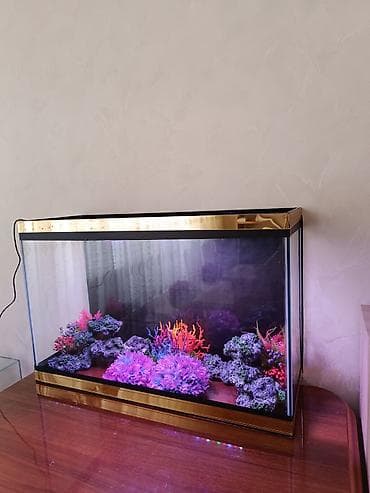 Balıqlar: Ölçü 70×46×25. 80 litir 6 lıq Radaj lı şüşədi yenidi iadifadə — 5