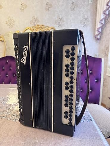 Fleytalar: Akustik Akkordeon, Yeni — 3