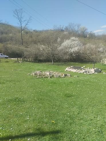 qubada satılan həyət evləri: Dağ mənzərəli torpaq sahəsi və köhnə tikili - Geniş yaşıllıqla — 3