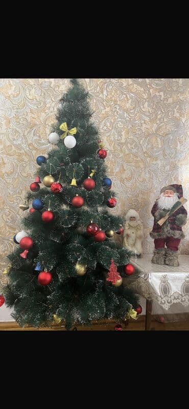 Yolka 2 metr Gəncə