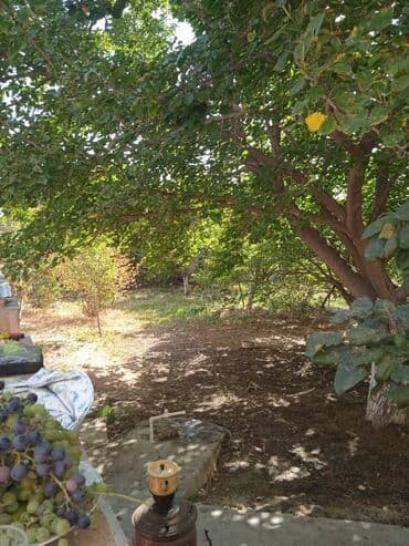 mehemmedide evler: 200 kv. m, 5 otaqlı — 4