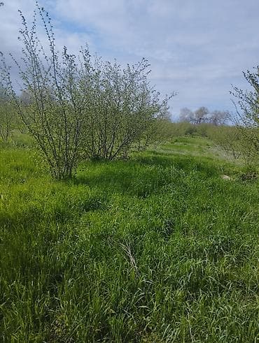 corat heyet evleri: Kənd təsərrüfatı — 1