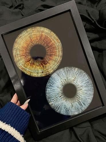 i̇sti pol: Çərçivə — 2