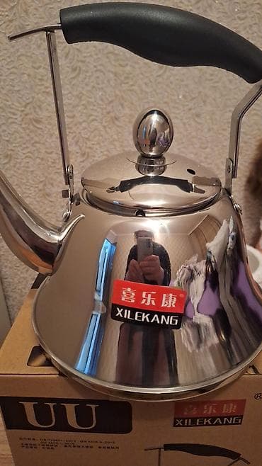 force acar desti: Rəng - Gümüşü, Çaydan, Paslanmayan polad, 3-dən çox l — 2