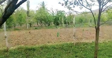 sulutəpə çiçək qəsəbəsi: Göygöl, Çaylı kəndində yerləşən 12 sot torpaq sahəsi. Sənəddə 10 sot — 4