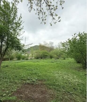 15 sot, Biznes üçün, Mülkiyyətçi, Kupça (Çıxarış)