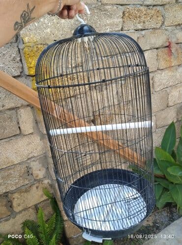 quş qəfəsi: Korella qefesi jako kletkasi qus qefesi 40 Azn — 6