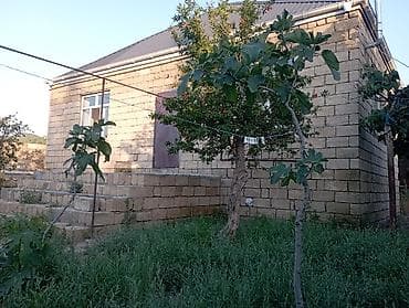 6 sot, Biznes üçün, Mülkiyyətçi, Kupça (Çıxarış) — 8