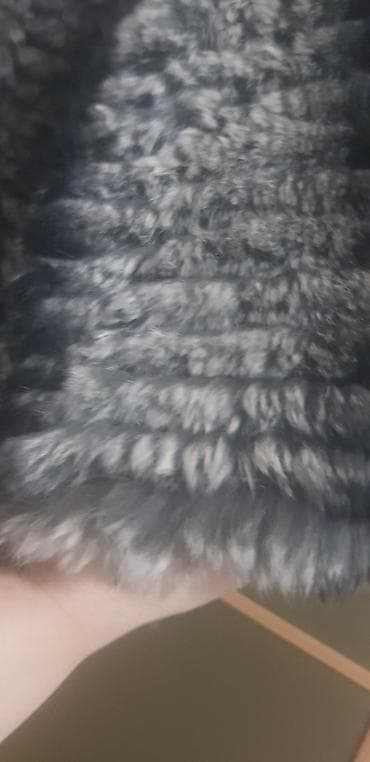 Shinshilla — 4