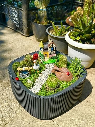 quru odun: Miniatür sukulent/teraryum kompozisiyası – “Bağ evciyi” mövzulu - — 4