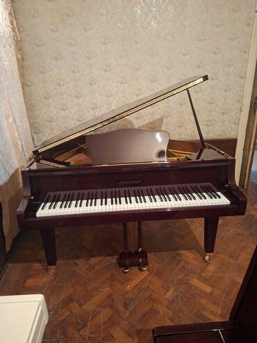 Royal, Akustik, Yeni, Pulsuz çatdırılma