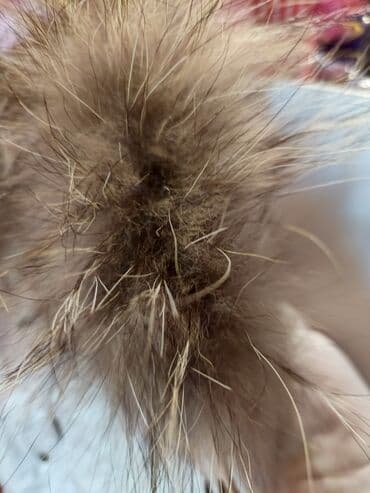 дождевик купить в баку: Kurtka az istifade olunub
2,3 yaş
15 AZN — 2