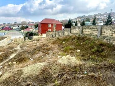 torpaa: Tikinti — 9