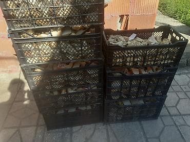 pişik yemi qiyməti: Guru corek 50 kilolug yem kisesinde. 4 azn. xirdalan icra — 2