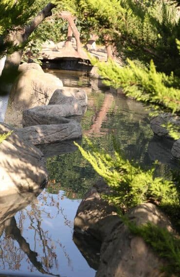 makler gence: 6 otaqlı, 550 kv. m, Yeni təmirli — 5