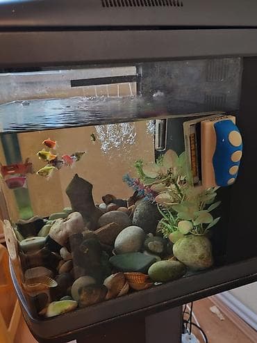 akvarium satilir: Akvaryum və tam avadanlıq dəsti - 60 litr - Ön tərəfi oval formalı — 4