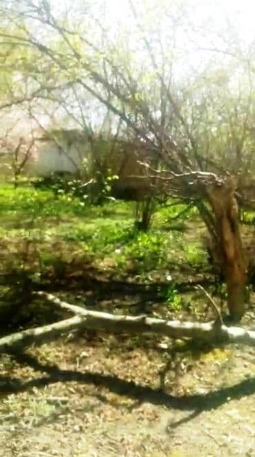 baki hovuzlu evler: 35 sot, Makler, Bələdiyyə — 1