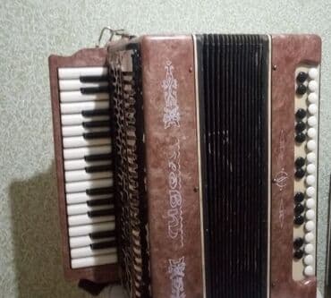 Fleytalar: Akustik Akkordeon — 3