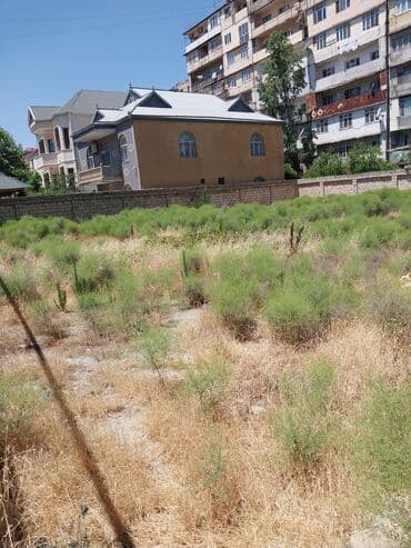 sabuncu qəsəbəsi: 9 sot, Biznes üçün, Makler, Kupça (Çıxarış) — 4
