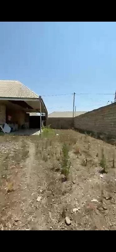 Tecili satilir 130 min Turkler qesebesi Imamzade yolu — 8