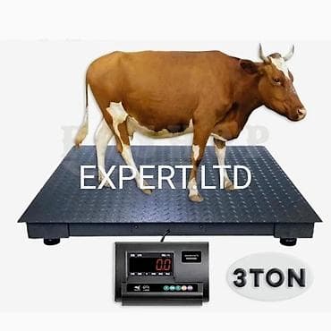 1000 kq, Nağd ödəniş