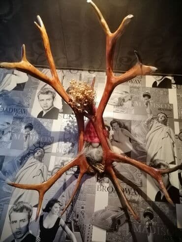 натуральная кожа: Taxta plaketə bərkidilmiş maral buynuzları və kəllə hissəsi. Divara — 5