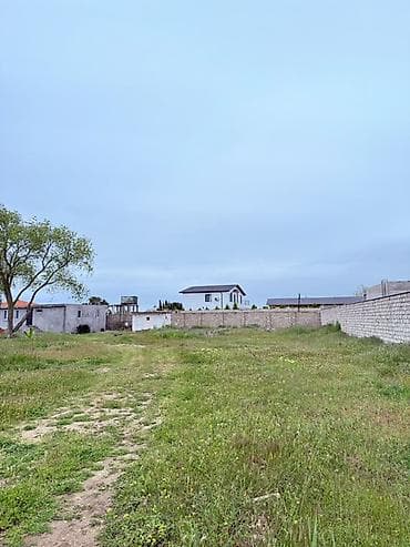 12 sot, Tikinti, Kupça (Çıxarış) — 2