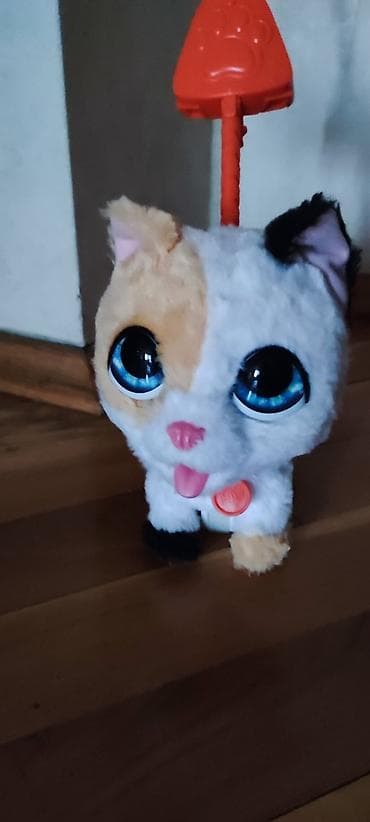 oyuncaq ev: Pişik oyuncağı – gəzdirilən - Yumşaq plyuş gövdə, böyük mavi gözlər — 1