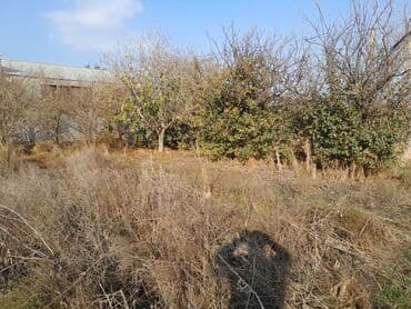 araz supermarket neftciler: 3 sot, Tikinti, Mülkiyyətçi, Kupça (Çıxarış) — 3