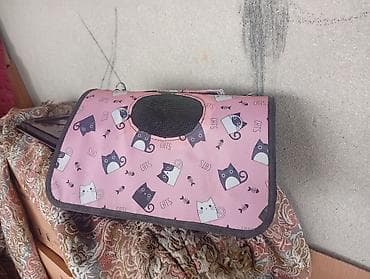 pişik daşıma: Yaxşı əllərə — 4