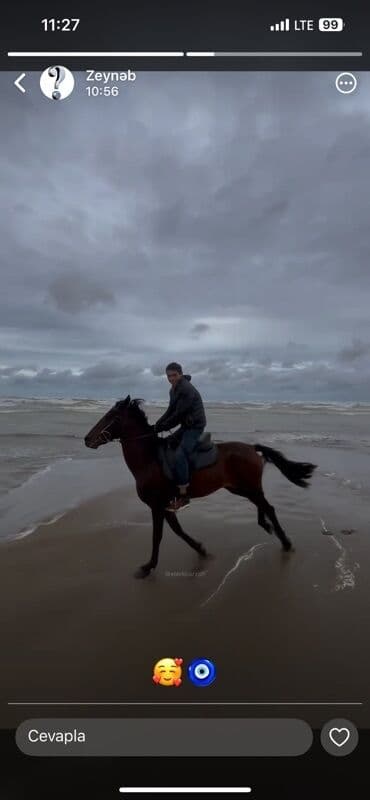 Erkək, il: 6, Ünvandan götürmə