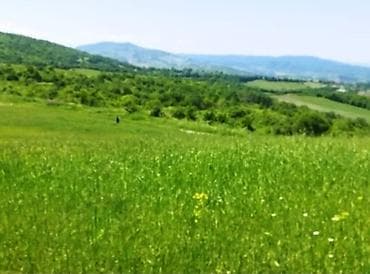 mida satis: 524 sot, Biznes üçün, Barter mümkündür, Kupça (Çıxarış) — 8