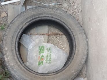 шины дордой моторс: Шины — 2