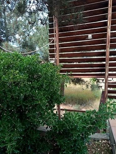 cay evi icare: Nardaran qəs., 220 kv. m, 5 otaqlı, Hovuzlu, Kombi, Qaz, İşıq — 2