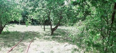 ev certiyojları: 6 otaqlı, 530 kv. m, Yeni təmirli — 3