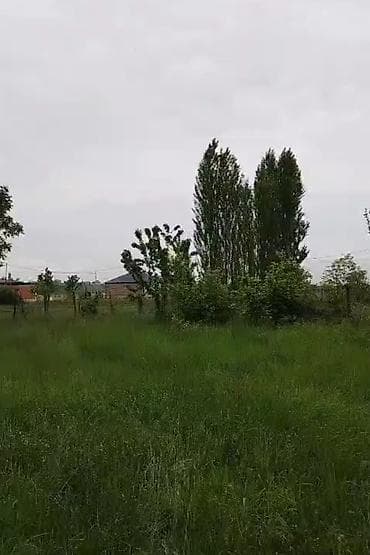 zigda ucuz heyet evleri: Quba, 100 kv. m, 4 otaqlı, Hovuzsuz, Kommunal xətlər qoşulmayıb — 5