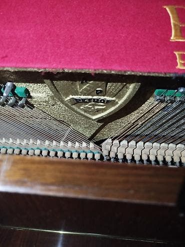 Piano, Petrof, Akustik, Yeni — 3