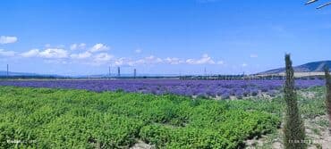 hazir ipotekada olan evler 2022: 6 соток, Для сельского хозяйства, Собственник, Бялядия (муниципалитет), Договор — 1