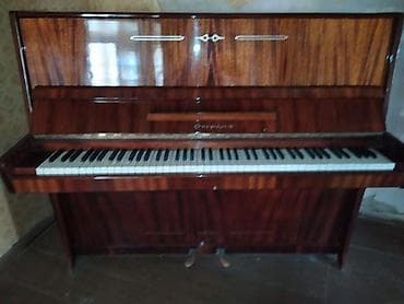 🌙beniz 6772
Piano prablemsizdir. 150 azn satilir.
unvan Bilgeh