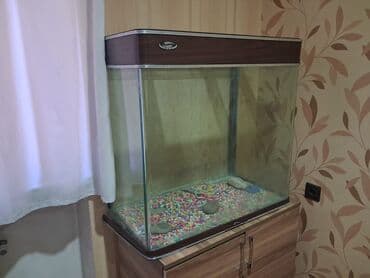 Dördbucaq akvarium, Boş, 180 l, Ünvandan götürmə