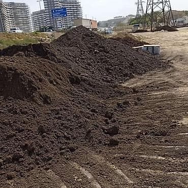 Salam qara torpağ meşə torpağ şamaxı ismayıllı erazilerinden yığılır — 4