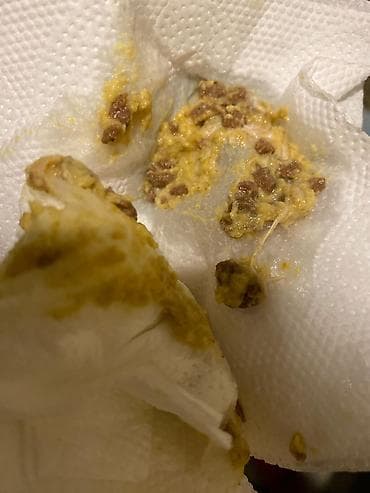 cins qazlar: Şotland yastı qulaq, Yaxşı əllərə — 5