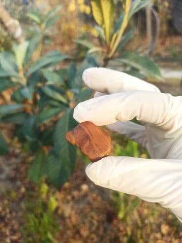 qızılın 1 qramının qiyməti 2022: 💎 Təbii JASPER Daşı😍 Qiymətlə bağlı maraqlananlar zəhmət olmasa — 12