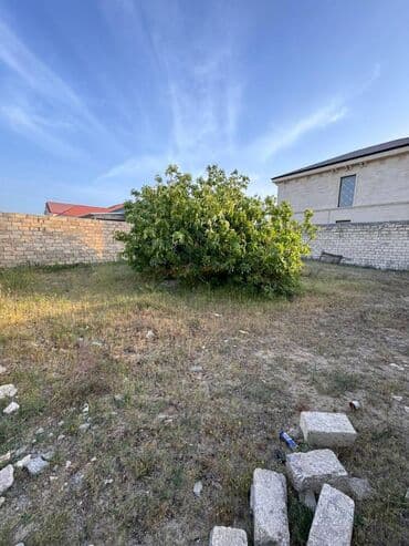 türkanda torpaq: 3 sot, Tikinti, Kupça (Çıxarış) — 4