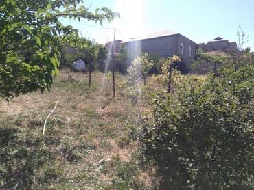 sulutepe cicek qesebesi: Sulutəpə qəs. 8 otaq, 250 kv. m, Orta təmir — 19