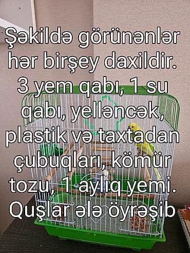 hamster evi: Budaqlar və aksesuarlarla tam avadanlıqlı quş qəfəsi - Ölçü: orta — 5