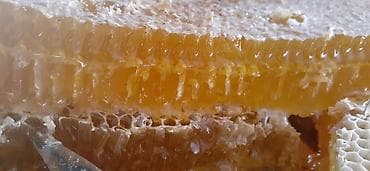 xalis bal: Məhsul: Şüşə bankalarda təbii arı balı - Şəkillərdə gördüyünüz kimi — 6