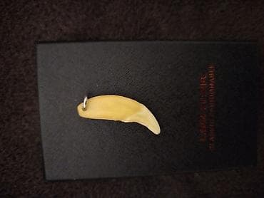 Наручные часы: Кулон, Животные — 2