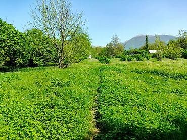 Torpaq sahələrinin satışı: 4 sot, Tikinti — 2